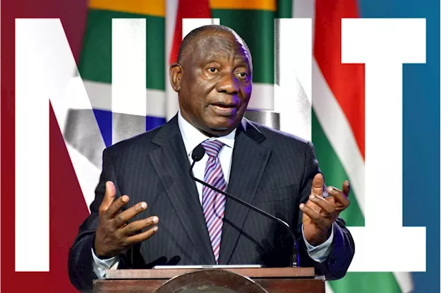 Ramaphosa’s slap in the face to business in South Africa: report