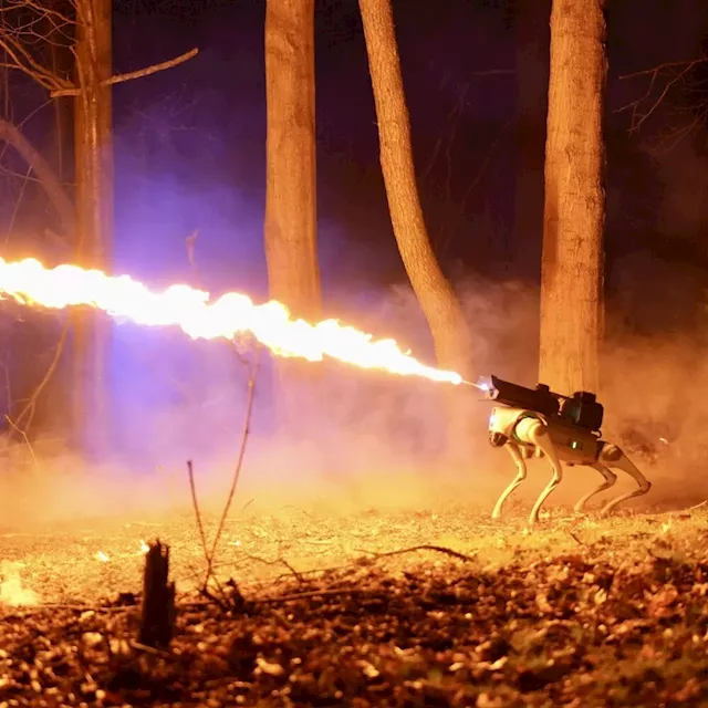 Ohio company’s flamethrowing robot dog, Thermonator, is now for sale