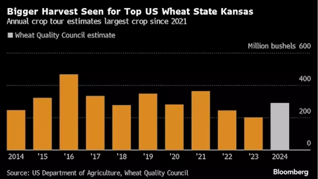 US Wheat Comes to Rescue Market Plagued by Russian Shortfall