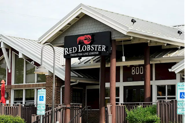 Red Lobster says it is not going out of business after filing for bankruptcy