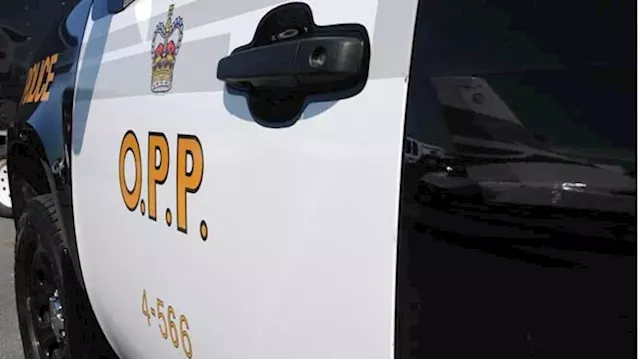 Impaired driver broke windows at business, assaulted employee: OPP