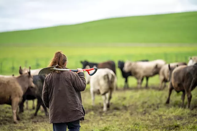 Farm Business Tenancy (FBT) in Yorkshire: What they mean for landlords and tenants