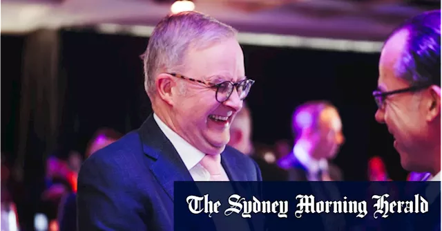 Albo’s open for business: The companies the prime minister keeps