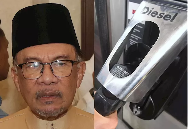 Finance Minister II to explain diesel subsidy further soon, says Anwar