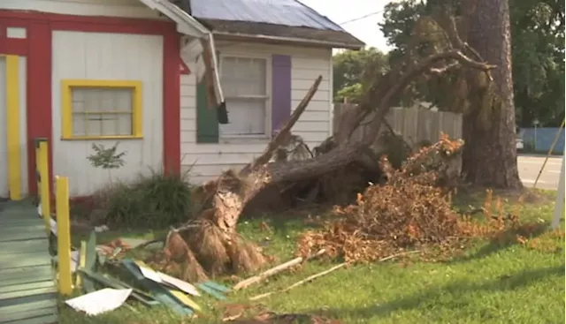 ‘I just want my business back’: Community comes together to support Jacksonville day care damaged by storm