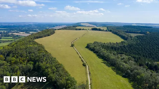 South Downs National Park launches biodiversity investment scheme