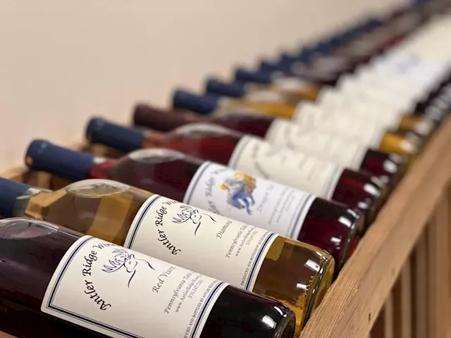 Pennsylvania’s wine industry is exploding, and the world will soon take notice