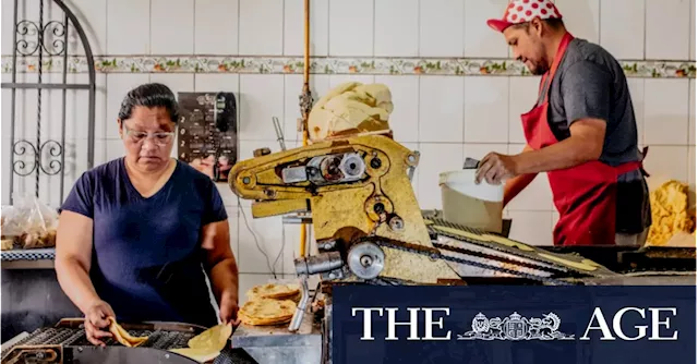 How Mexico’s cartels infiltrated the tortilla business