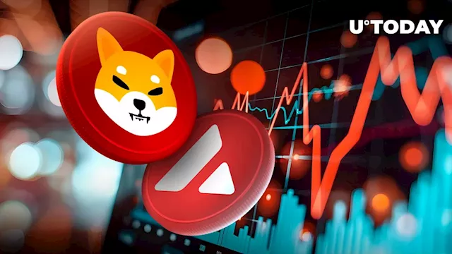 Shiba Inu (SHIB) Surpasses Avalanche (AVAX) in Epic Market Flip