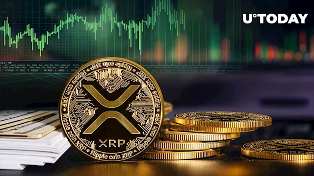 XRP Skyrockets 30% in Volume as $30 Billion Market Cap Nears