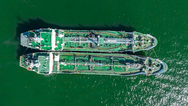 Can green ammonia decarbonize the global shipping industry?