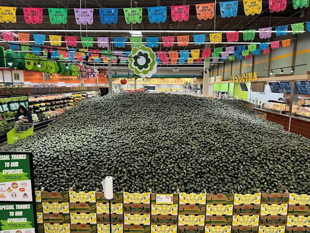 El Rio Grande Latin Market Aims to Beat World Record for Largest Avocado Display; 5/$1 Sale After