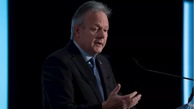 Former BoC governor Stephen Poloz warns about low business investment, lost productivity