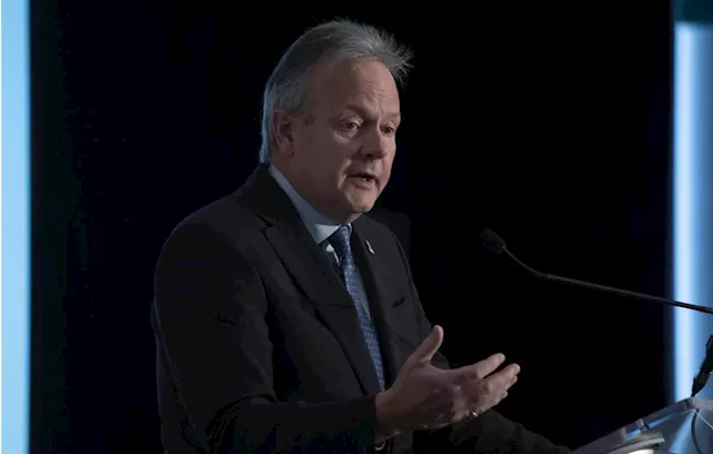 Former BoC governor Stephen Poloz warns on low business investment, lost productivity