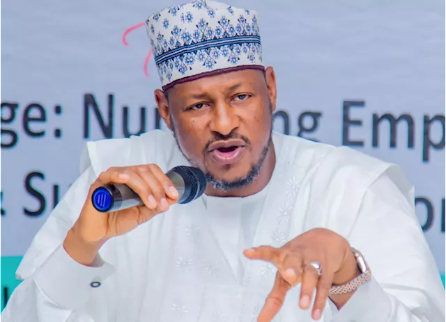 Dikko Radda: Banditry now business venture for some government officials, security personnel