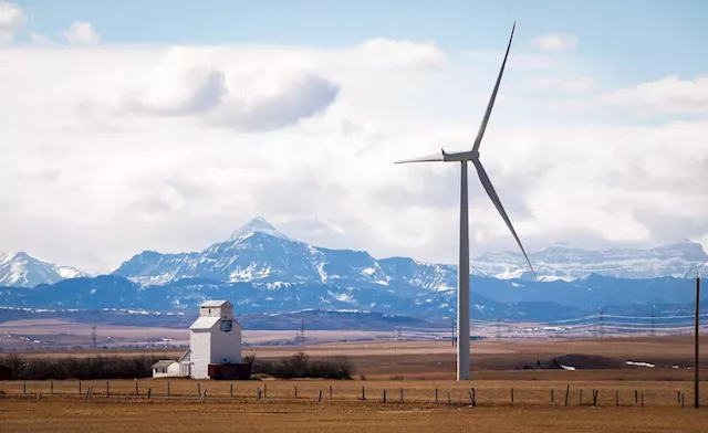 New rules on renewable energy are driving away investment, Alberta government told