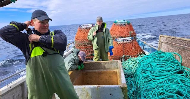 Why succession in Newfoundland and Labrador’s fishing industry not as simple as other businesses