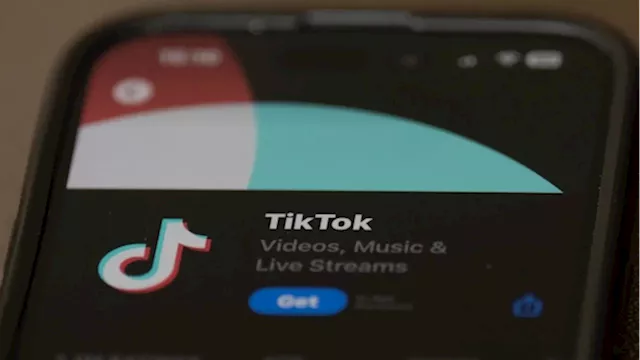 TikTok ban: Company sues U.S. to block law