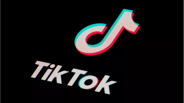 TikTok and Chinese parent company sues US over law that could ban it