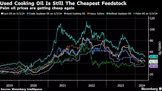 Suspicious China Frying Oil Is Hurting US Biofuels Business