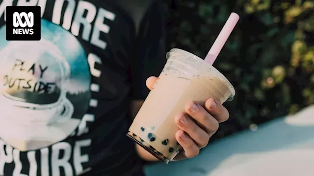 Oat farmers poised to enter billion-dollar bubble tea market with healthy alternative