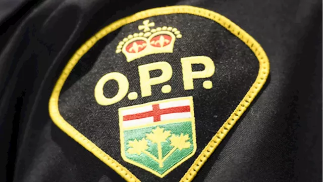 Police investigating theft of camera, electronics from local business in Pembroke, Ont.