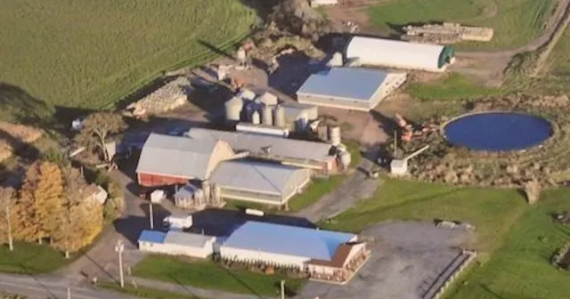 Meadowbrook Meat Market closing after 40 years in Somerset, N.S.