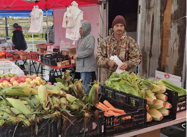 Aurora Farmers Market to open a little earlier this year