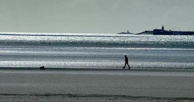 Dublin Port Company scraps plans for multistorey container terminal opposite Sandymount Strand