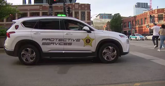 Private security patrols come to Chicago's Fulton Market District