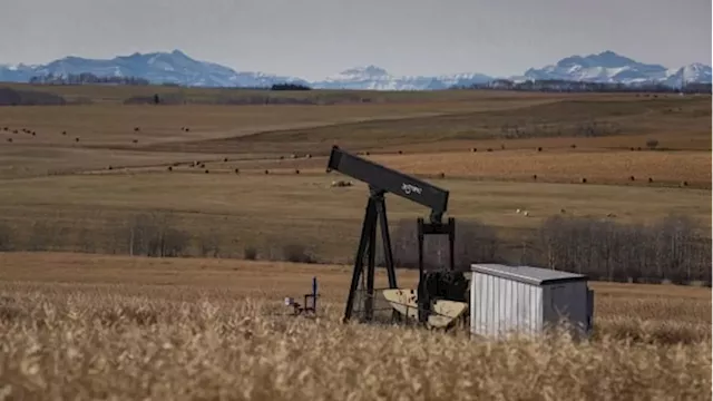 Calgary energy company told to abandon hundreds of wells after ongoing care problems