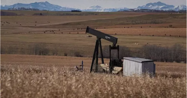 Alberta energy company told to abandon hundreds of wells after ongoing care problems