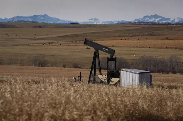 Calgary energy company told to abandon hundreds of wells after ongoing care problems