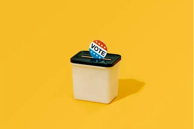 Music Industry Nonprofits Launch Voting Initiative Aimed at Increasing 2024 Election Turnout