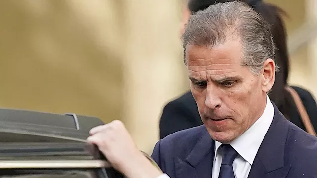 Hunter Biden's ex-business associate dismisses gun trial charges: 'Distraction' from 'influence peddling'