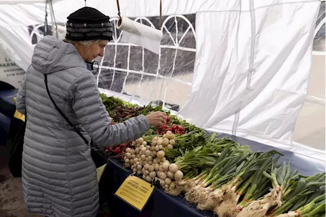 US small business sentiment up in May, but looming election clouds outlook