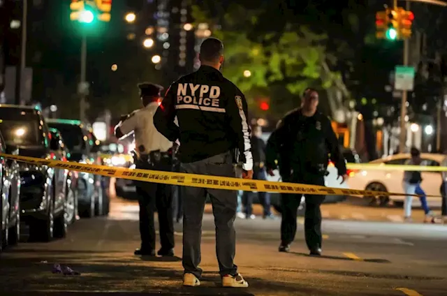 Queens murder-suicide: Cops believe business failure and family argument led man to kill brother, then