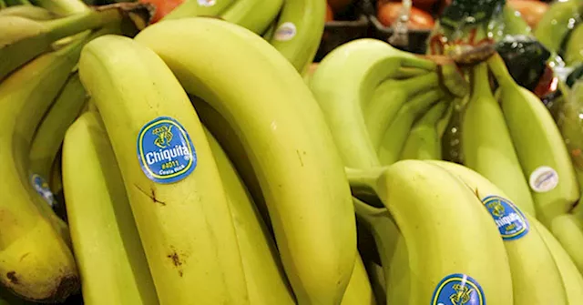 Chiquita Banana Company Ordered to Pay $38.3 Million to Victims of Militia It Funded