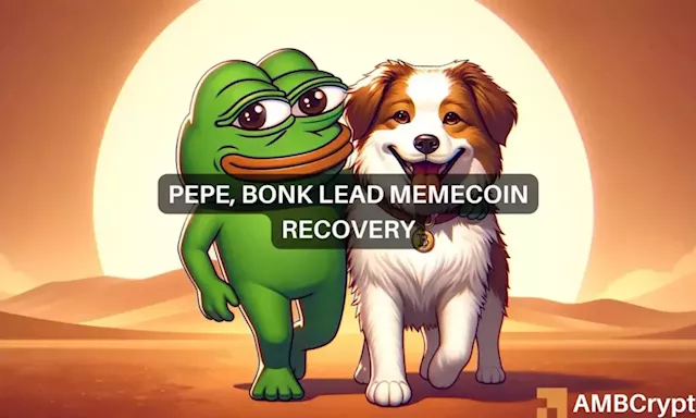 Pepe, Bonk lead memecoin recovery amidst broader market decline