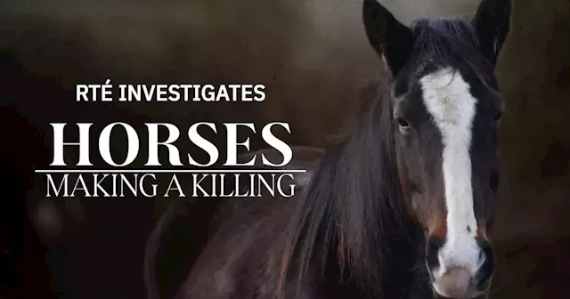 RTE viewers left 'speechless' after investigation into horse industry