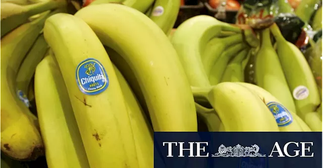 Chiquita banana company found liable of funding Colombian death squads