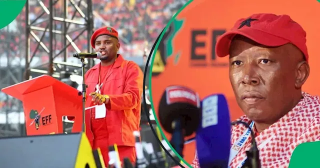 EFF’s Julius Malema Demands That Former Ekurhuleni Finance MMC Nkululeko Dunga Be Reinstated