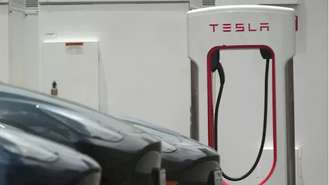 Tesla is biggest market bubble in world history: Short seller