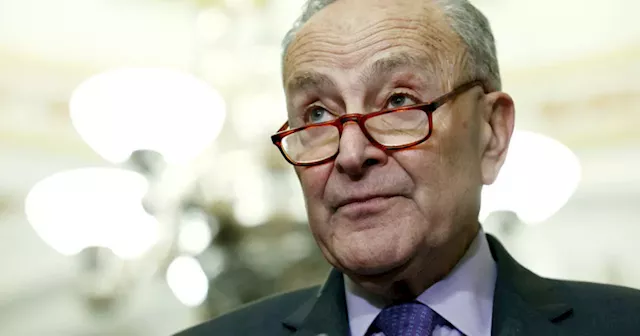 Schumer to bring up vote on gun bump stocks ban after Supreme Court decision