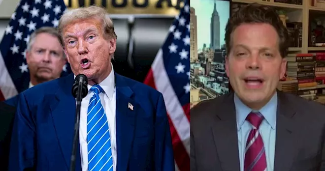 Some CEOs have ‘Trump-nesia’: Scamucci comments on Trump’s latest meeting with company leaders