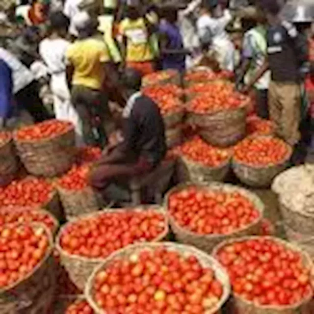 Mile 12 Market Chairman attributes over 500 per cent surge in tomato, pepper prices to insecurity