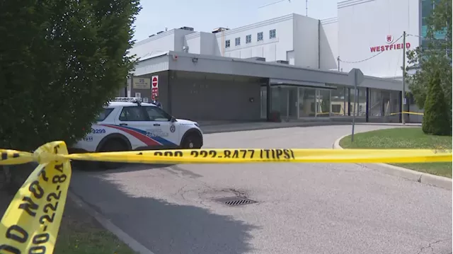 Victims of North York shooting were co-owners of business: sources