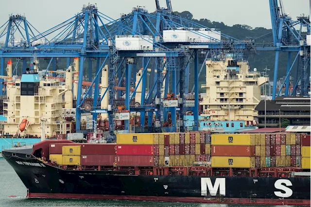 AI can help shipping industry cut down emissions, report says