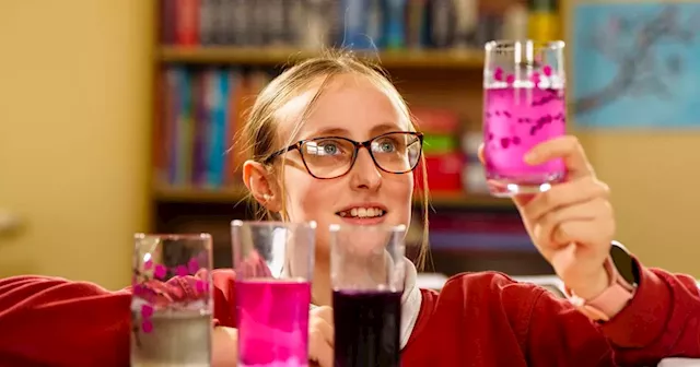 Pupils’ seaweed soap business cleans up at entrepreneur awards