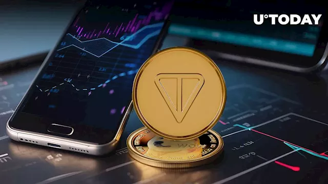 Toncoin (TON) Surpasses Dogecoin (DOGE) in Market Cap, Following 50% Volume Growth